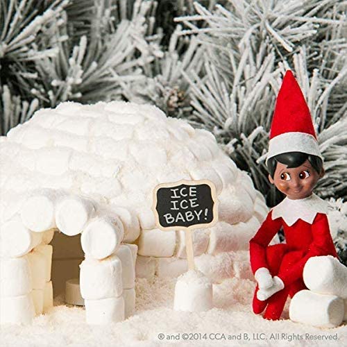 Elf on the Shelf Boy Brown Eyes