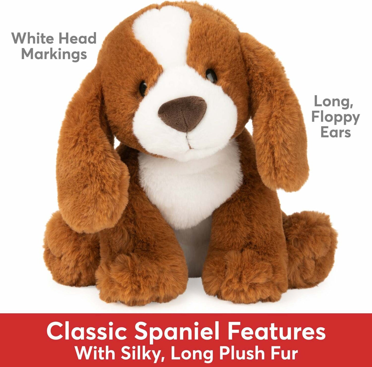 Kian Spaniel, 10 In
