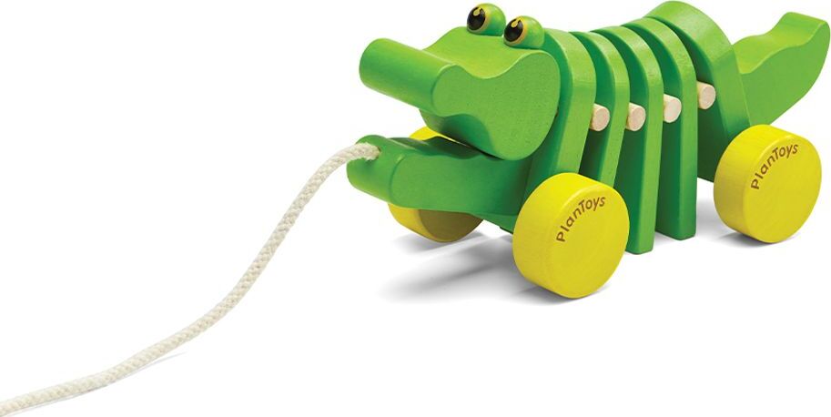 Dancing Alligator
