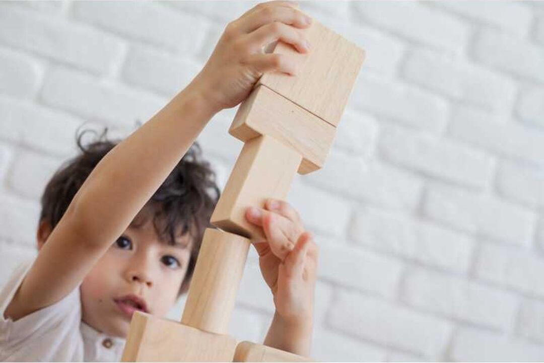 50 Unit Wood Blocks