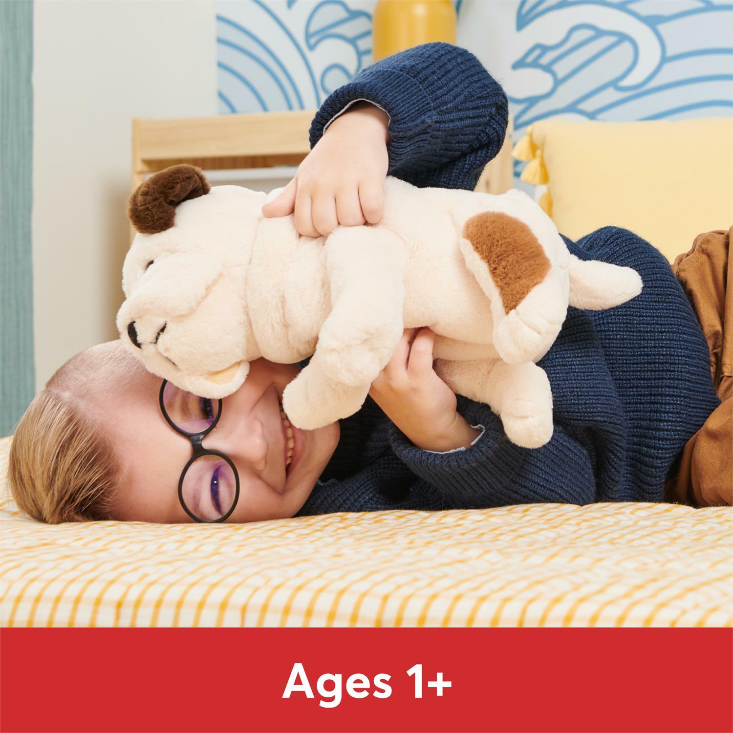 Toast Bulldog - 10 In