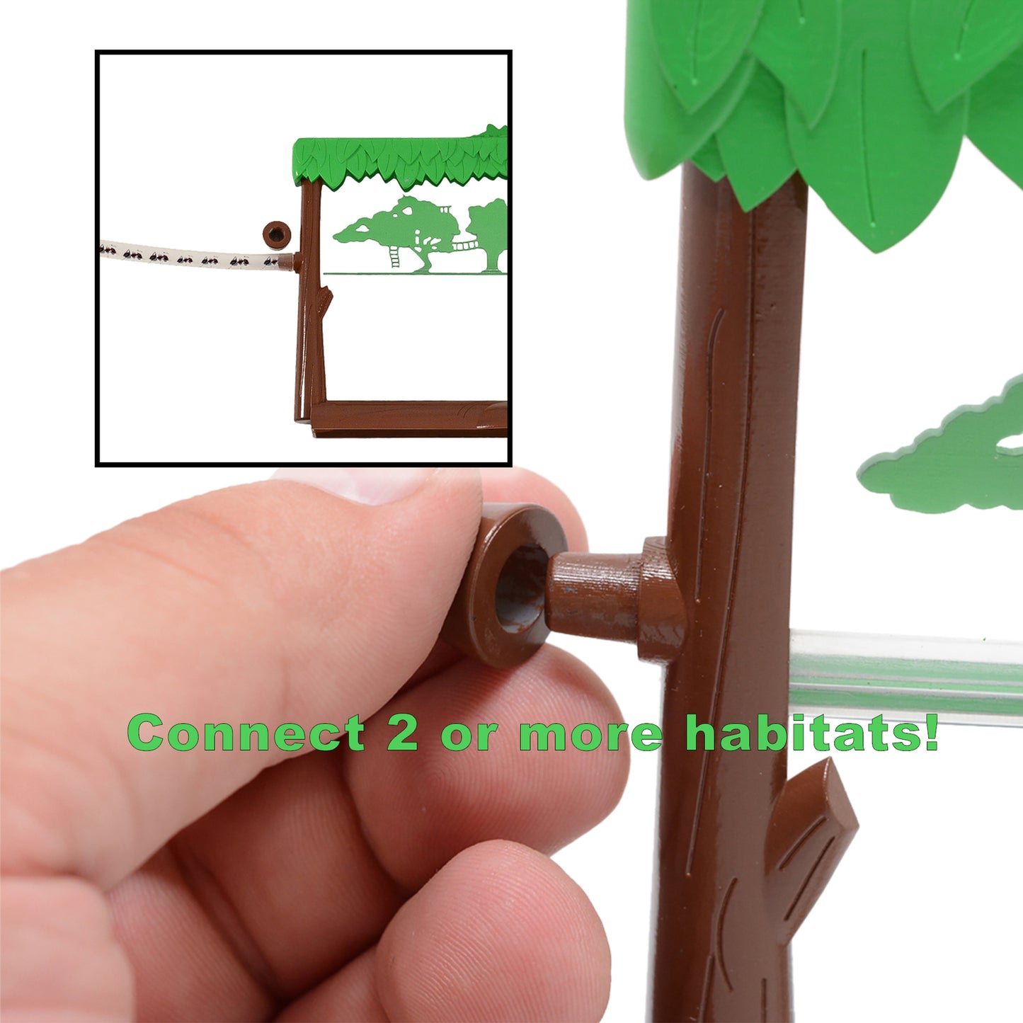 Ant Treehouse