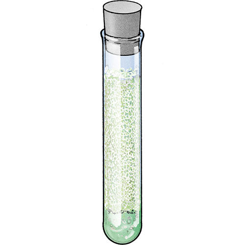 Chemistry C500 (V 2.0)