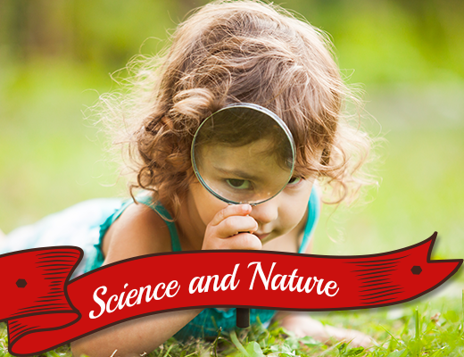 STEM, Science & Nature Toys