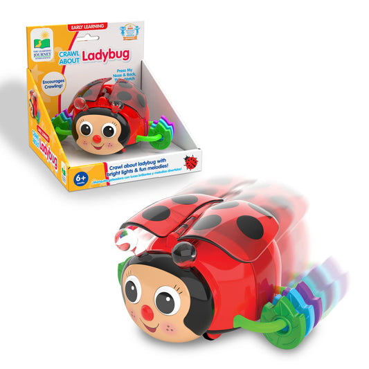 CRAWL ABOUT LADYBUG