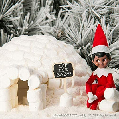 Elf on the Shelf Boy Brown Eyes