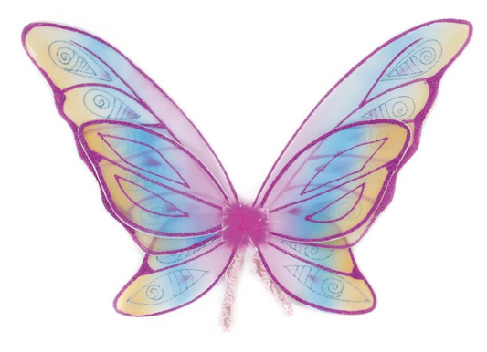 Glitter Rainbow Wings