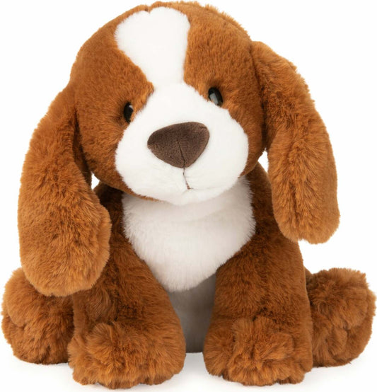Kian Spaniel, 10 In