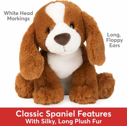 Kian Spaniel, 10 In