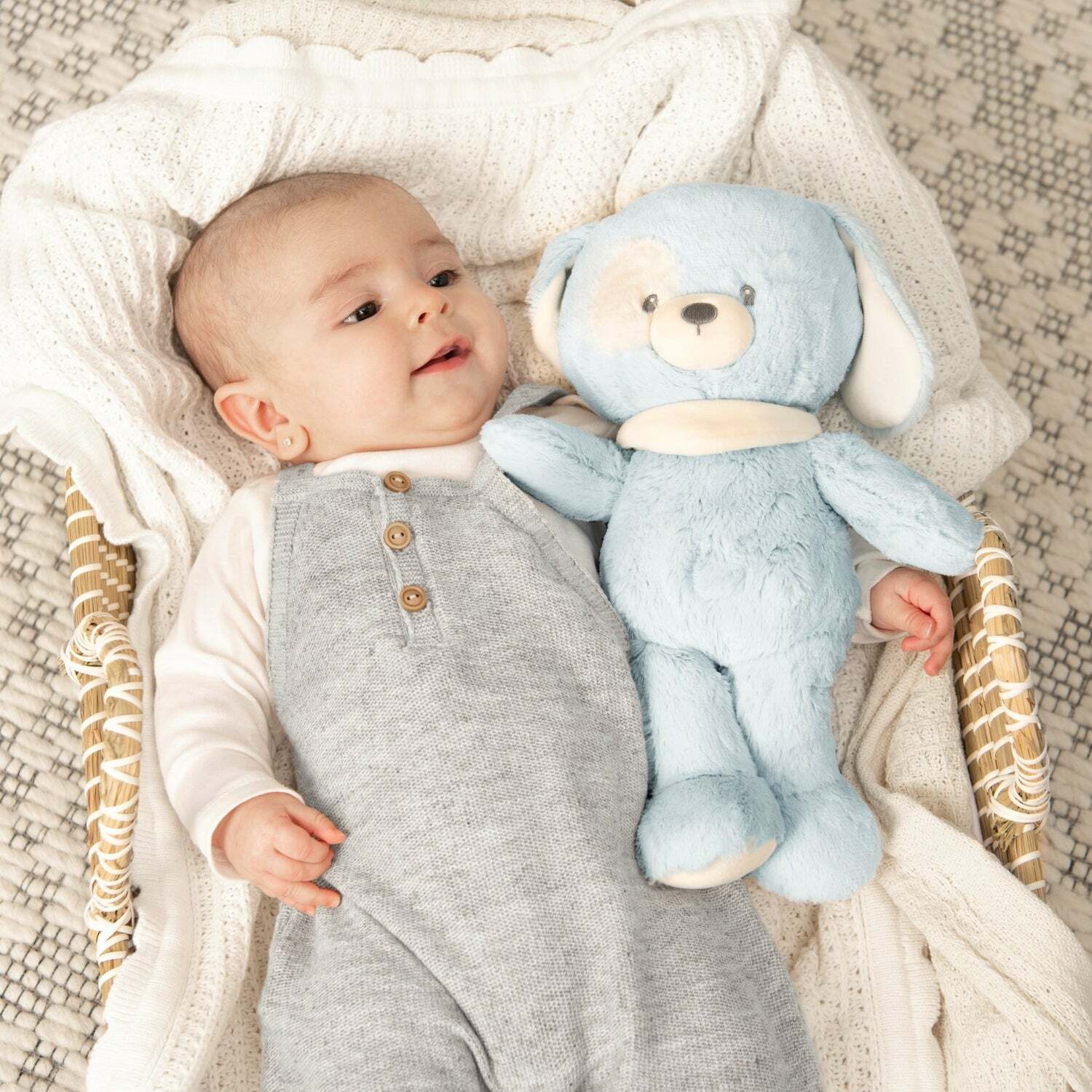 A baby lies on their back inside a woven basket next to a light blue plush puppy.