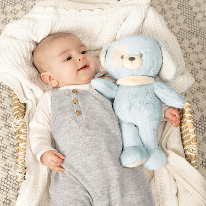 A baby lies on their back inside a woven basket next to a light blue plush puppy.