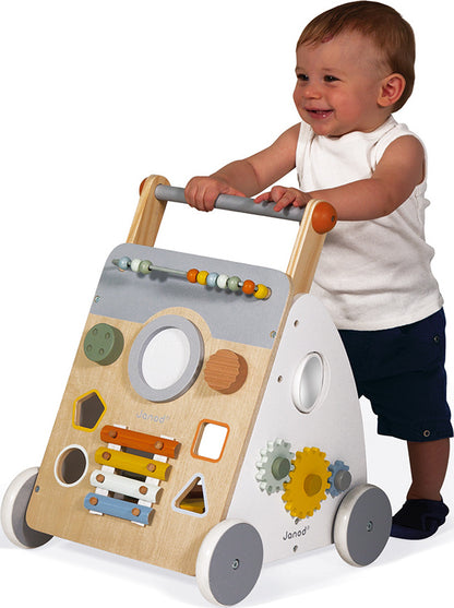 Sweet Cocoon Multi-activity Baby Walker