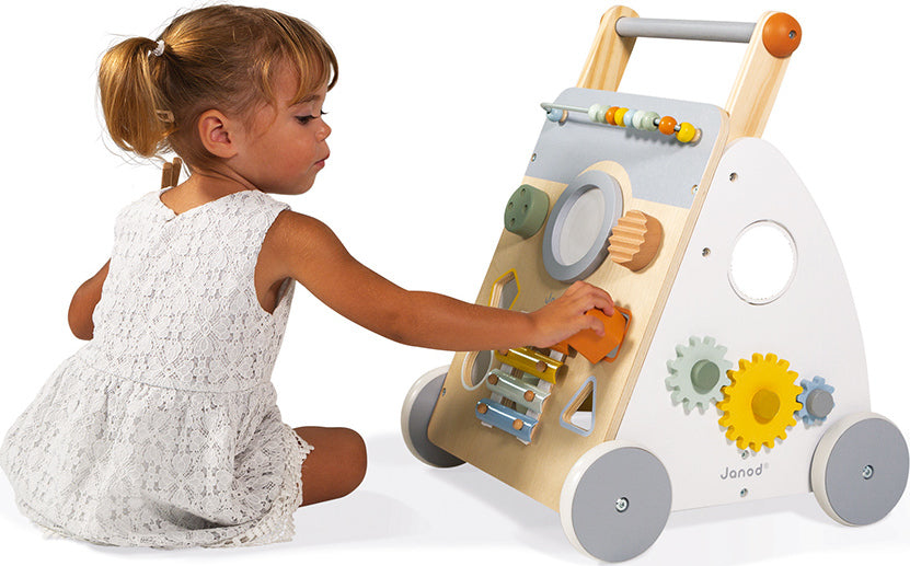 Sweet Cocoon Multi-activity Baby Walker