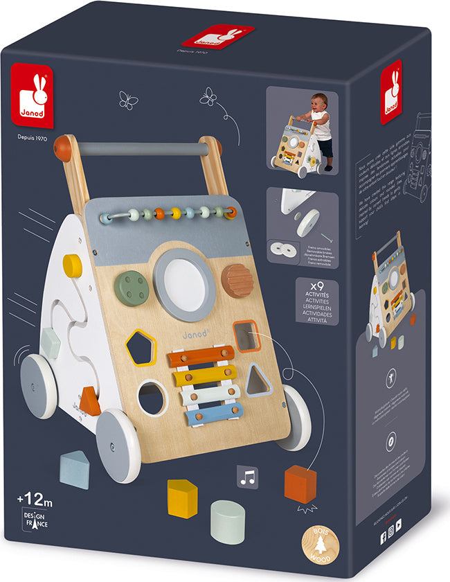 Sweet Cocoon Multi-activity Baby Walker