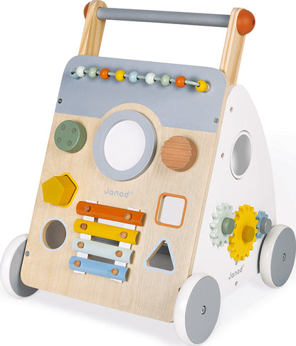 Sweet Cocoon Multi-activity Baby Walker